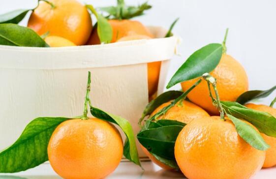 柑橘类水果的功效与作用