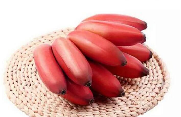 红皮香蕉的作用与功效