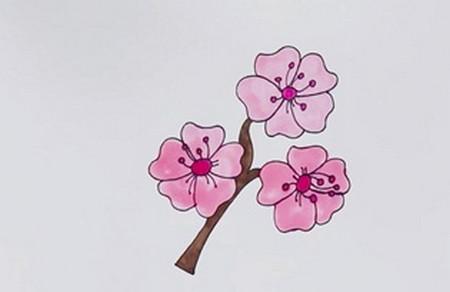 樱花怎么画简笔画带颜色