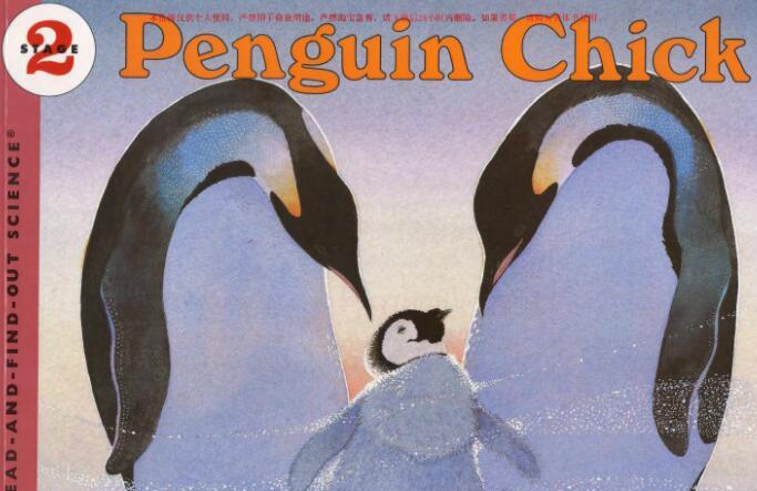 《Penguin Chick》科普类英文绘本pdf资源免费下载