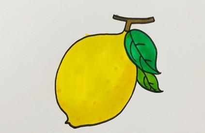 柠檬简笔画步骤图解