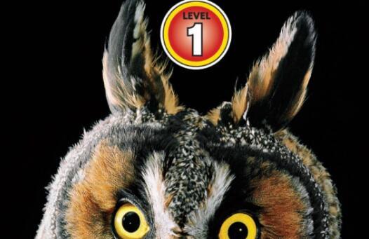 《Owls》国家地理分级绘本pdf资源免费下载