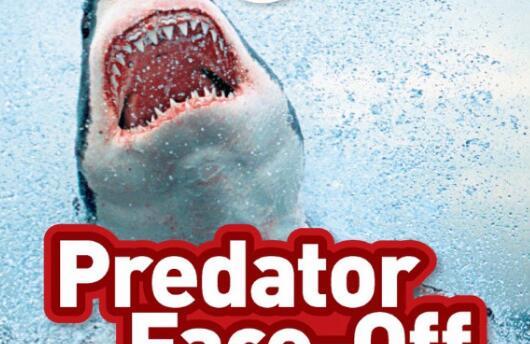 《Predator Face-Off》国家地理分级绘本pdf资源免费下载