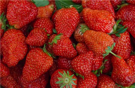 哺乳期可以吃草莓吗