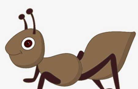 蚯蚓与蚂蚁的故事