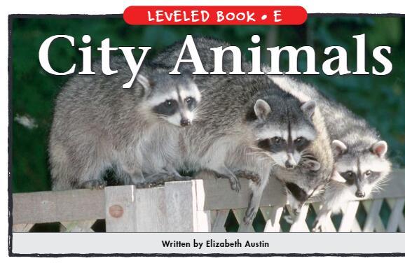 《City Animals》英文绘本pdf资源免费下载