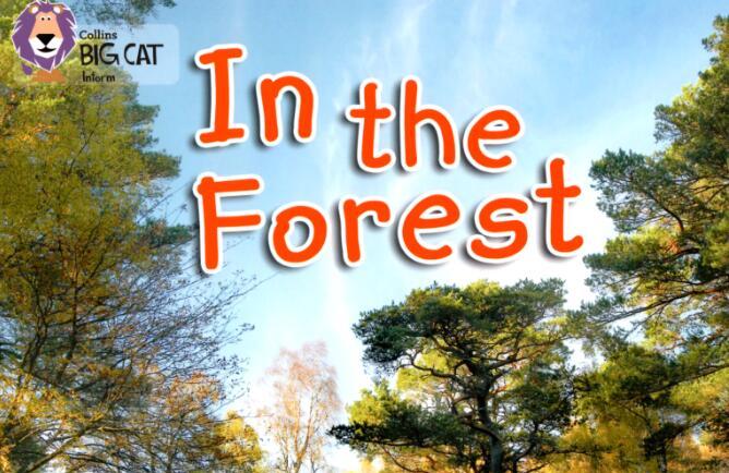 《In the Forest》英文绘本pdf资源免费下载
