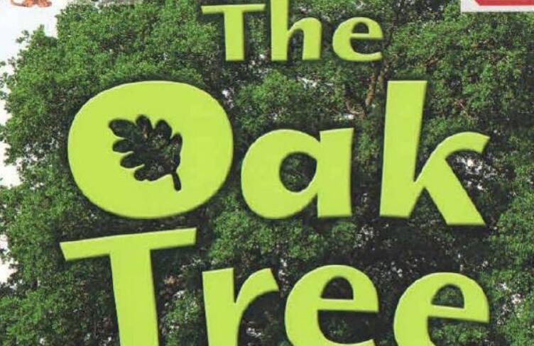 《The Oak Tree》英语绘本pdf资源免费下载