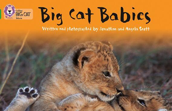 《Big Cat Babies》大猫分级绘本pdf电子版资源免费下载