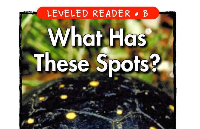 《What Has These Spots》幼儿园绘本pdf资源免费下载