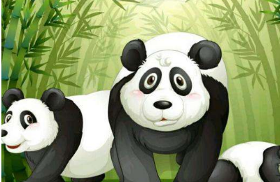 小熊猫和小刺猬的礼物的故事