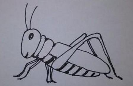 蝗虫简笔画的画法