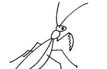 怎样画螳螂简笔画