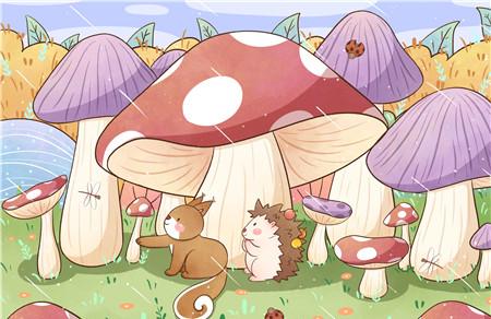 蘑菇风扇的故事