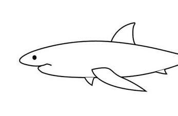 大白鲨简笔画步骤