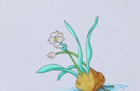 水仙花的简笔画画法
