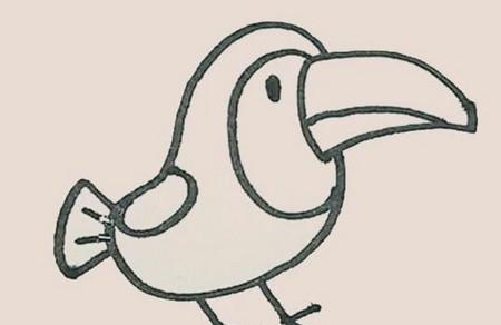 大嘴鸟简笔画的简单画法