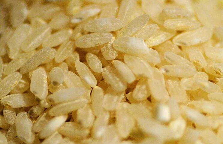 煮糙米饭的米水比例 煮糙米饭放多少水