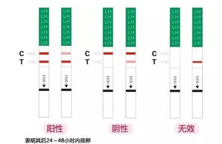 排卵试纸ct分别代表什么