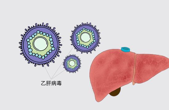 确诊乙型肝炎不要怕，坚持做好预防工作，病情不再反复