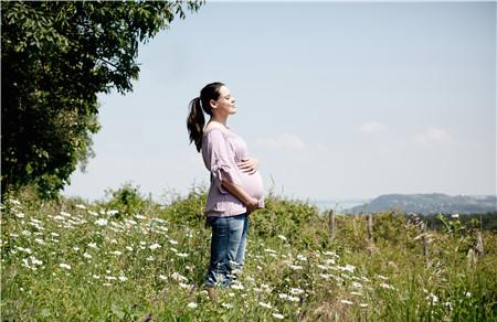 胎教必修课 孕妇必须知道的胎教那点事儿