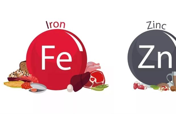 宝宝成长发育过程中，铁锌钙究竟有多重要？
