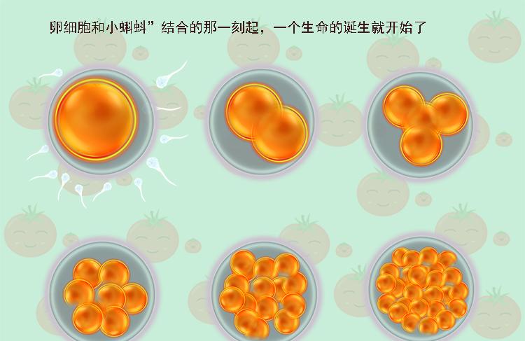 在怀孕早中晚三个阶段，胎宝分别有“三怕”，准妈妈要牢记