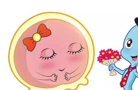 想怀孕？达到这四个标准才可以哦！