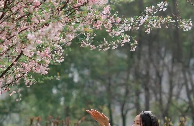 职场辣妈的优势一箩筐——入园盒子冷知识