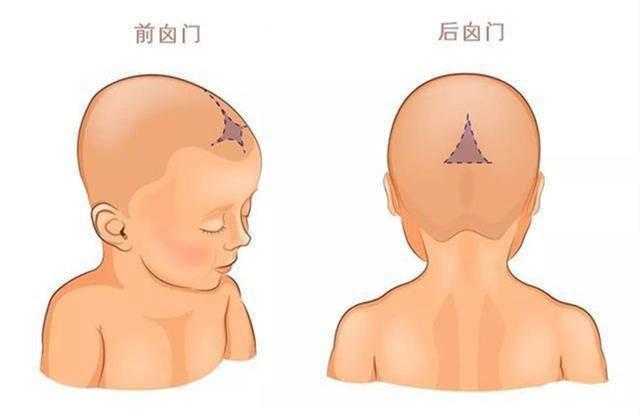 新生儿头上软软的部分，究竟是啥东东？