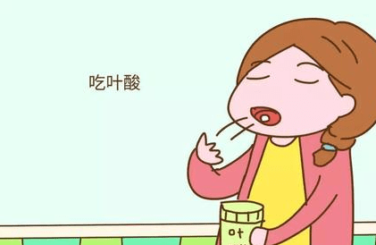 叶酸的分类,备孕期间教你如何正确食用叶酸？