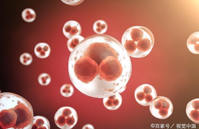 孕吐是怀孕最早的信号？别想错了，这些症状或许来得会更早！