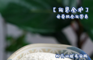 最接近母乳的奶粉有哪些牌子 推荐母爱级呵护的能恩全护