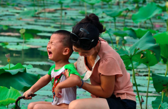 母子签订《不喊妈条约》走红网络，看清最后一条，网友：早该如此