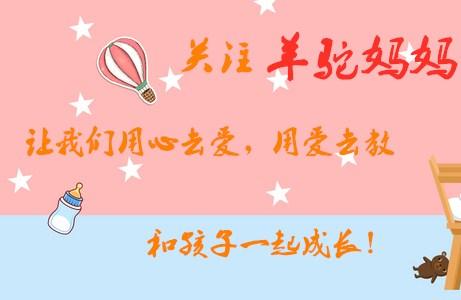 幼儿园宝宝集体明星脸，“小刘亦菲”虽美，但我被“小肖战”征服