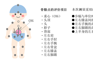 花王开发出通过手机拍摄视频即可详细解析行走动作的技术