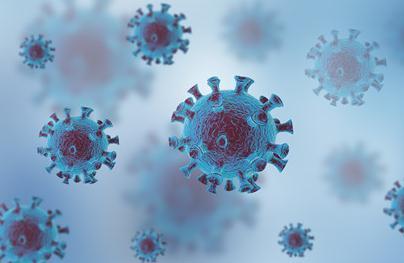 写新冠病毒作文500字