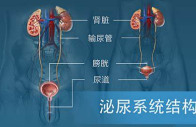 三金片男人可以吃吗？三金片的功效与作用大揭秘