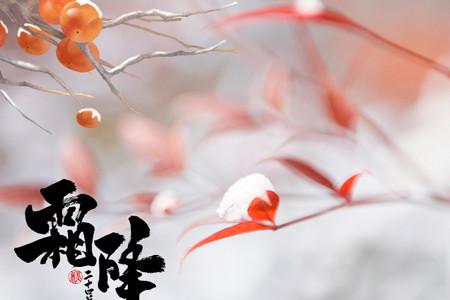 2021年霜降是哪天 2021霜降是哪一天什么时间