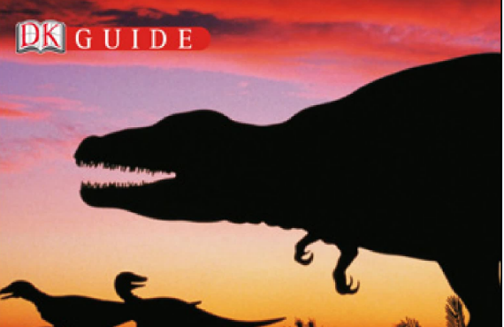 DK百科全书Guide to地理系列PDF百度网盘资源免费下载