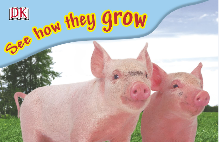 DK百科全书See How They Grow动物生长系列绘本PDF百度网盘资源免费下载