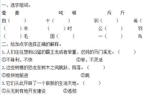 四年级下《飞向蓝天的恐龙》课后作业习题及答案