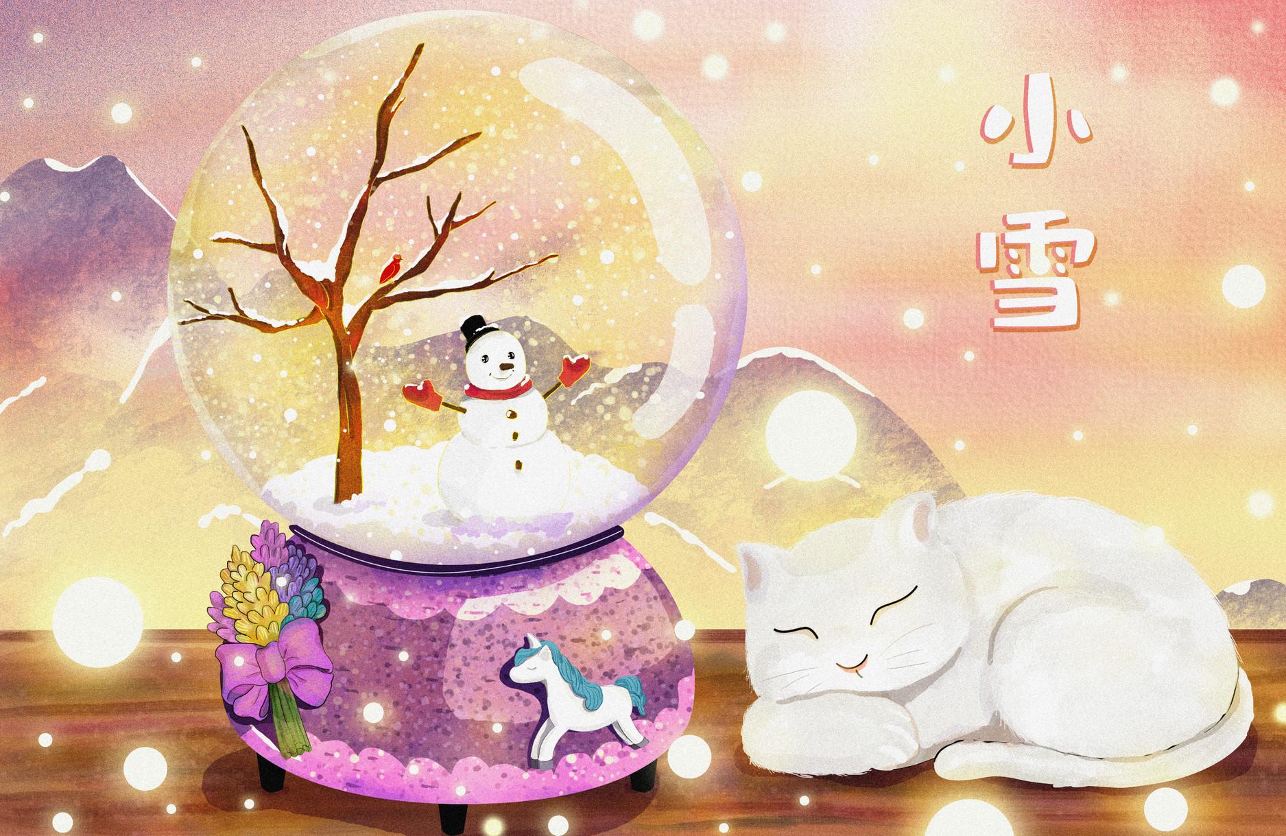 二十四节气小雪作文400字