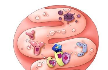 妈咪爱做肠道健康的“护卫菌”，让宝宝肠舒适更健康
