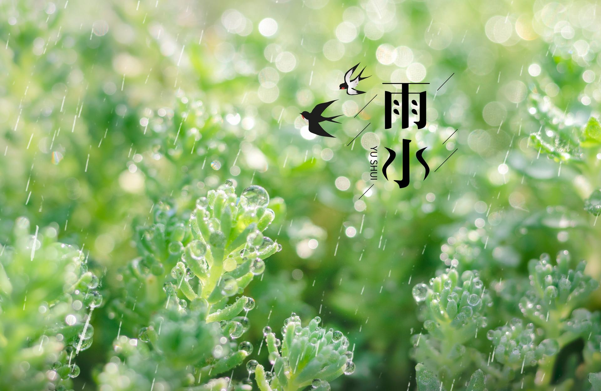 雨水节气的作文1000字