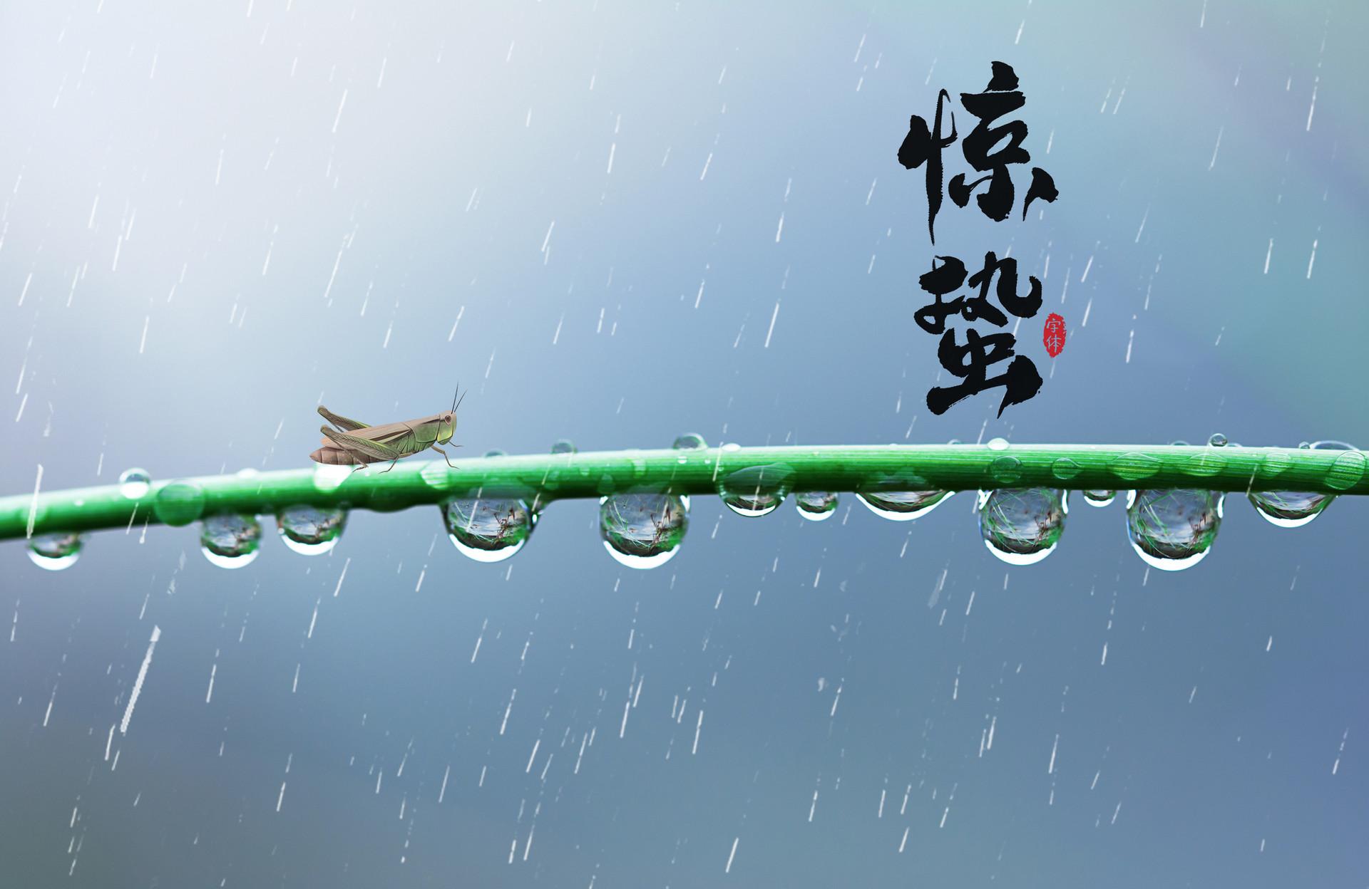 惊蛰作文500字