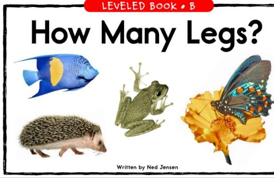 《How Many Legs》绘本翻译及pdf资源下载