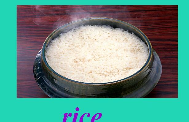 2021秋四年级英语上册Module 4 Unit 1 Do you want some rice教学课件PPT免费下载