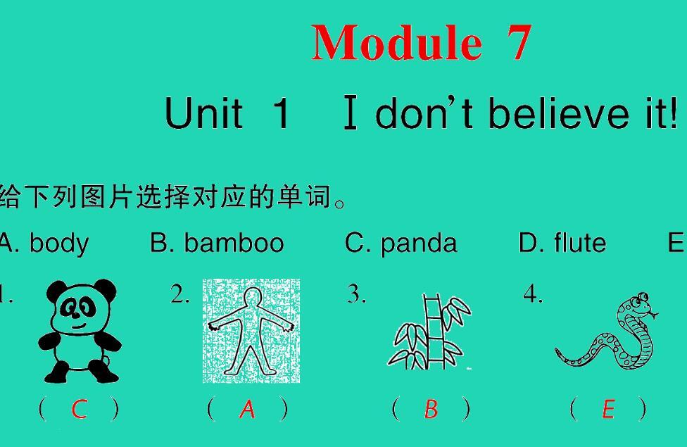 2021秋六年级英语上册Module 7 Unit 1 I don't believe it习题课件PPT免费下载