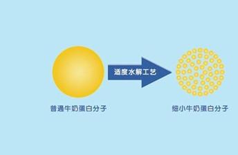 还在抗过敏奶粉排行榜10强里找奶粉？让我来安利植物蛋白奶粉